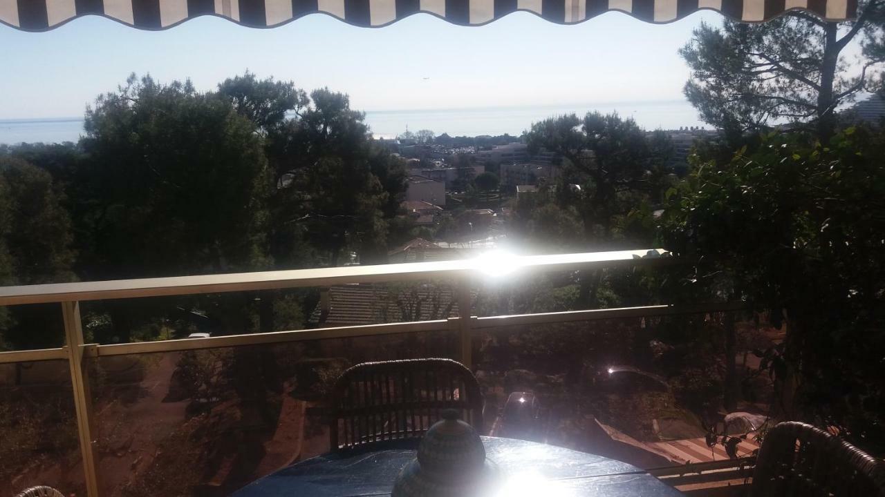 Bel Appartement Avec Vue Mer Villeneuve-Loubet Eksteriør bilde